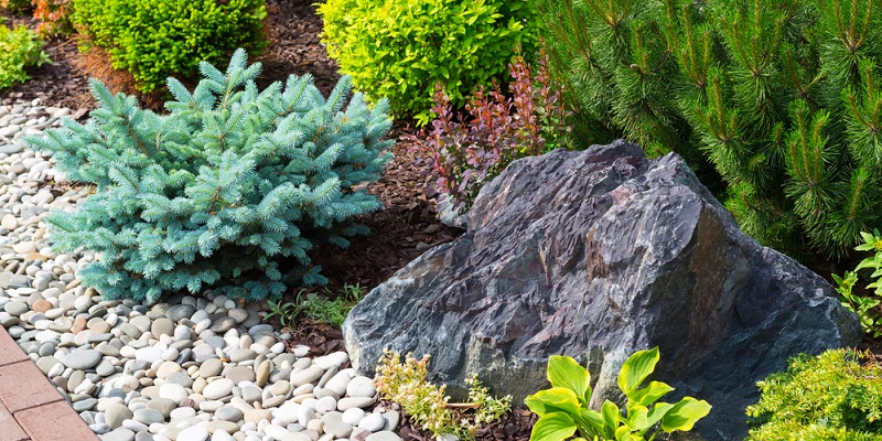 Massif végétalisé et minéralisé