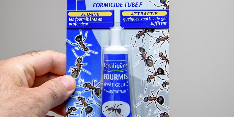 Produit anti fourmi