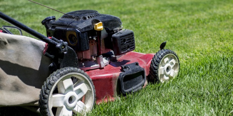 Guide de l'entretien du jardin