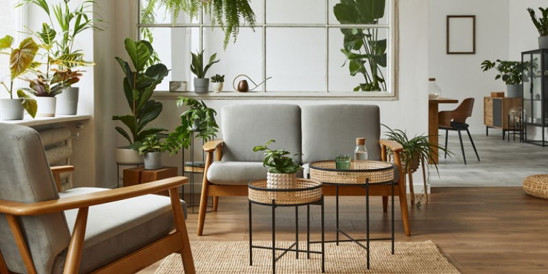 Guide de la maison saine et écologique