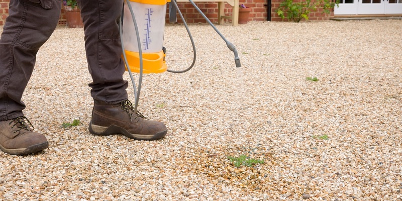 Pulvérisation de désherbant sur une cour