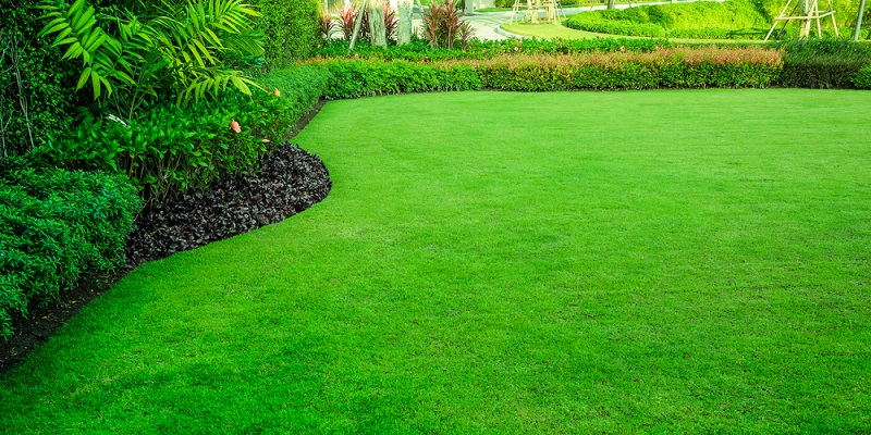 Beau gazon dans le jardin