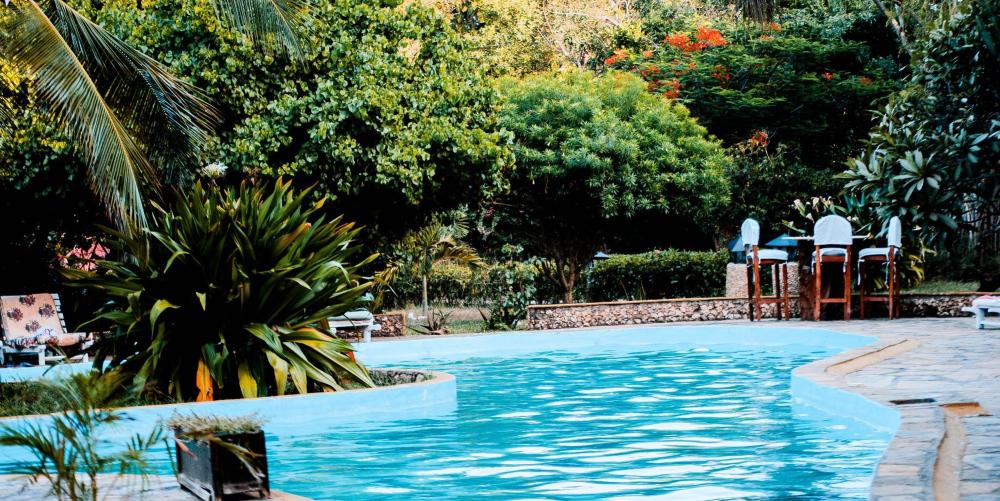 Végétaux près du bassin de baignade