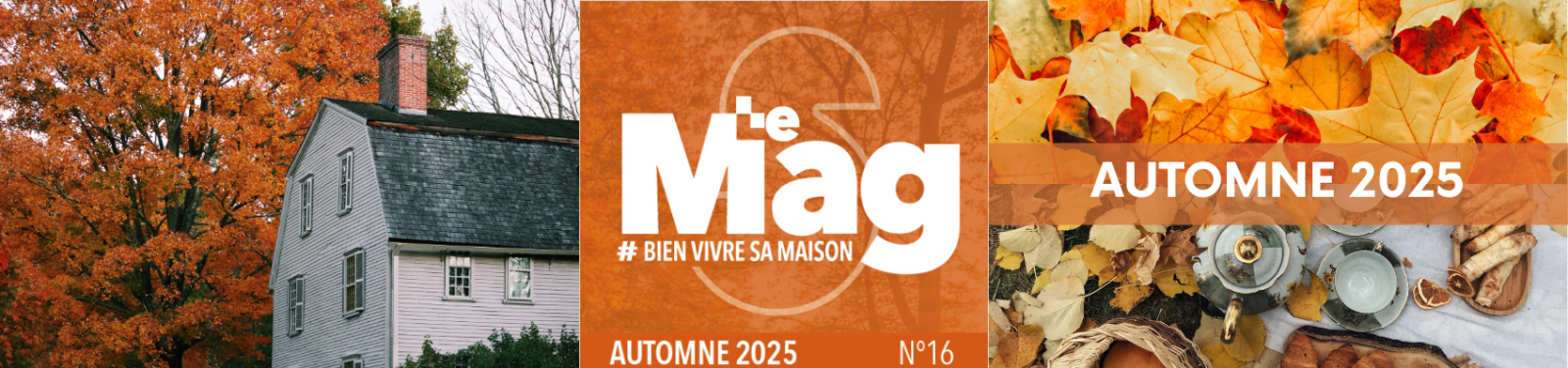 Bannière Automnale, image d'un jardin en Automne, logo du Mag Automne et image d'ambiance 