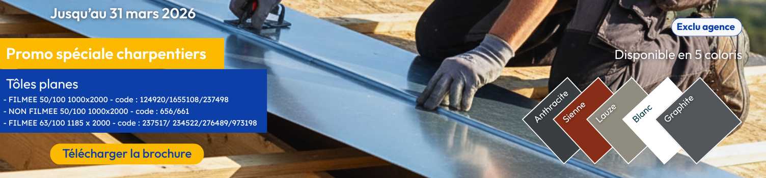 Charpentier qui travaille