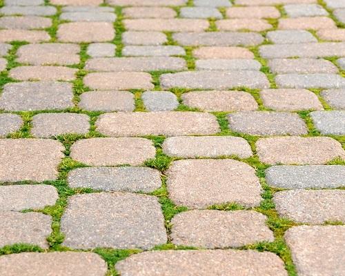 Mousse sur les pavés de la terrasse