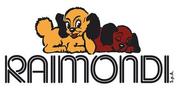 Logo Raimondi